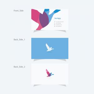 Bird vector logo and business card, eagle logo	