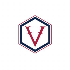 V Letter colorful logo in the hexagonal. Polygonal letter V	