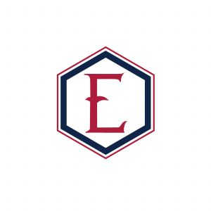 E Letter colorful logo in the hexagonal. Polygonal letter E	