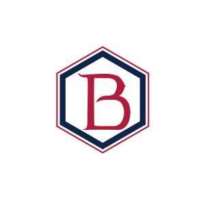 B Letter colorful logo in the hexagonal. Polygonal letter B	
