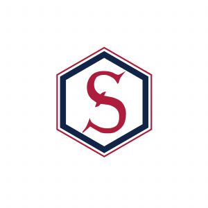 S Letter colorful logo in the hexagonal. Polygonal letter S	
