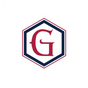 G Letter colorful logo in the hexagonal. Polygonal letter G	