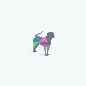 colorful dog illustration, running, wild, nature, speed, jump vector logo design