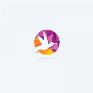colorful birds illustration, pigeon, hummingbird, flying duck vector logo design