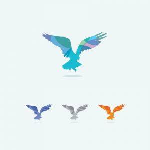 eagle vector logo design, eagle, falcon hawk colorful illustration