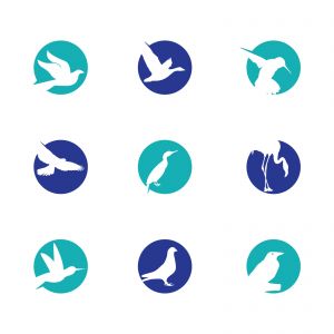 birds vector logo design, green, circle, hummingbird, flying bird, friendly, wildlife illustration	