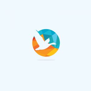 colorful birds illustration, pigeon, hummingbird, flying duck vector logo design	