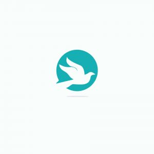 flying dove vector logo design	