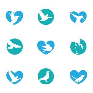  birds illustration, hummingbird, flying duck vector logo design	