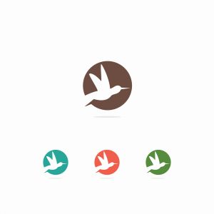 colorful bird illustration, hawk, in circle vector logo design	