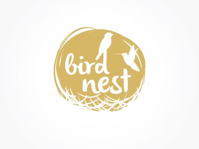 Bird Nest vector logo design