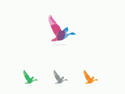 	 bird logo, freedom, fly, love, care illustration