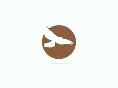eagle  logo, colorful pigeon vector logo design, circle, peace, friendly illustration