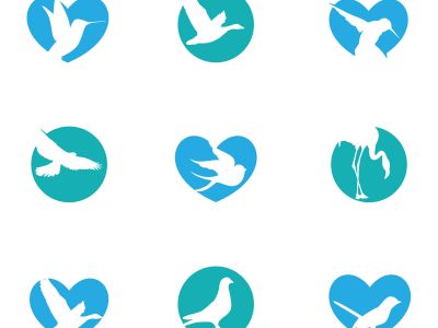  birds illustration, hummingbird, flying duck vector logo design	