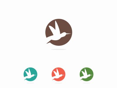 colorful bird illustration, hawk, in circle vector logo design	