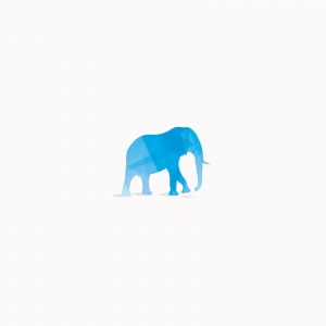 Elephant vector illustration design.	
