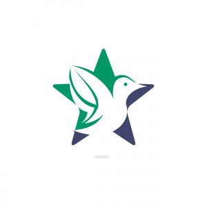 Star bird vector logo design. Creative bird and star icon.	