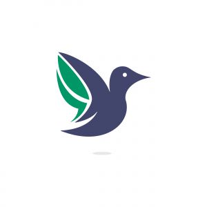 Bird vector logo design. Creative bird vector logo design template.	