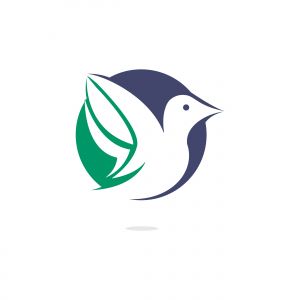 Bird vector logo design. Creative bird vector logo design template.	