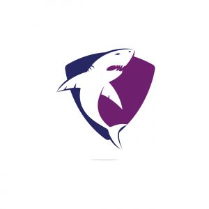 Shark vector logo design. Creative shark icon vector design template.	