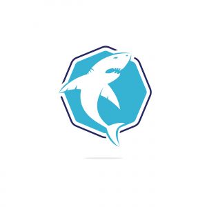 Shark vector logo design. Creative shark icon vector design template.	