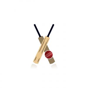 Cricket bat and ball illustration. Wooden bat, game, leisure activity. Sport concept.	