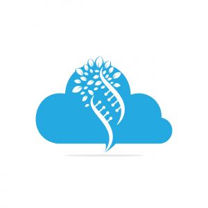 Dna tree and cloud shape vector logo design. DNA genetic and cloud icon. DNA with green leaves vector logo design.	