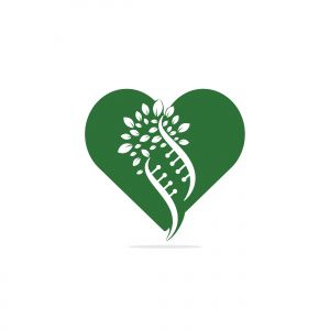 Dna tree and heart shape vector logo design. DNA genetic and heart icon. DNA with green leaves vector logo design.	