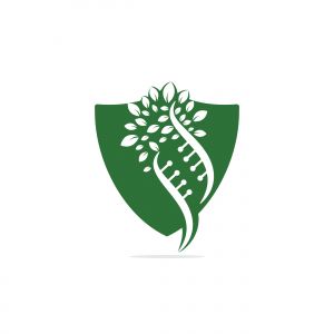 Dna tree vector logo design. DNA genetic icon. DNA with green leaves vector logo design.	