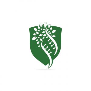 Dna tree vector logo design. DNA genetic icon. DNA with green leaves vector logo design.	