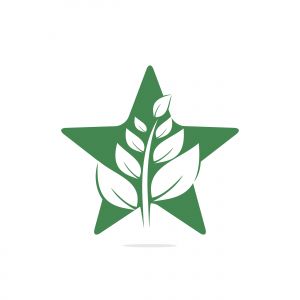 Star plant logo design. Abstract organic element vector design. Ecology Happy life Logotype concept icon.	