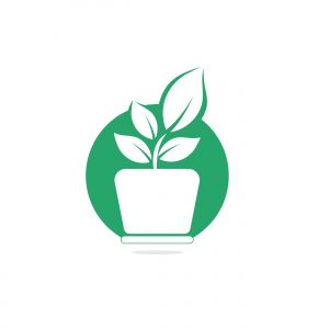 Flower pot and plant logo. Growth vector logo.	