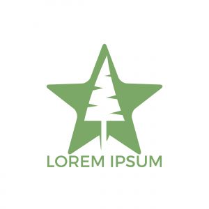 Star tree logo design. Organic tree spruce sign.	