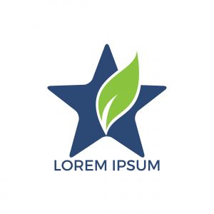 Green Leaf Star Logo design. Eco Natural Organic Logotype concept icon.	