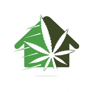 Cannabis house vector logo design. Cannabis leaf and house logo designs inspiration isolated on white background.
