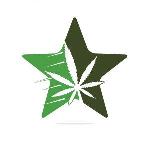 Cannabis leaf and star vector logo design. Marijuana leaf logo design template vector illustration.